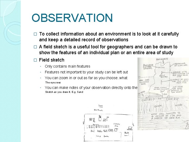 OBSERVATION � To collect information about an environment is to look at it carefully