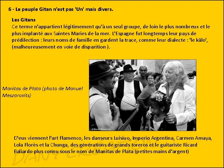 6 - Le peuple Gitan n'est pas 'Un' mais divers. Les Gitans Ce terme