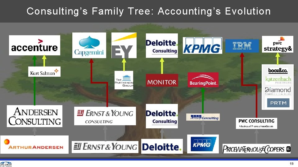 Consulting’s Family Tree: Accounting’s Evolution 19 