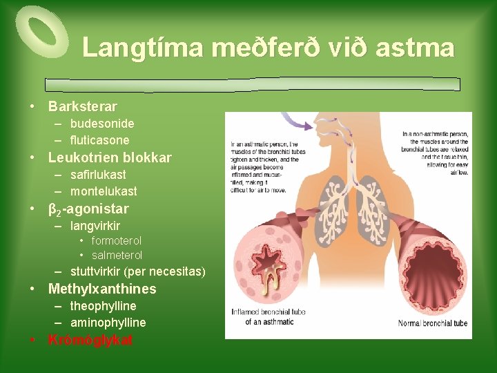 Langtíma meðferð við astma • Barksterar – budesonide – fluticasone • Leukotrien blokkar –