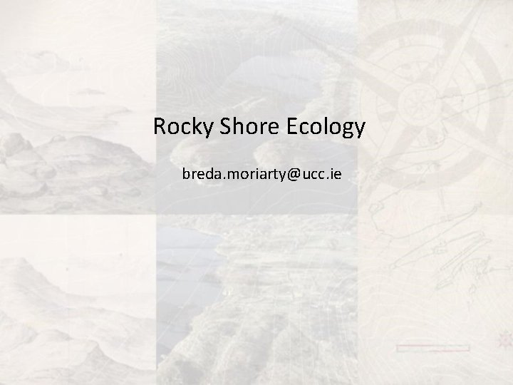 Rocky Shore Ecology breda. moriarty@ucc. ie 