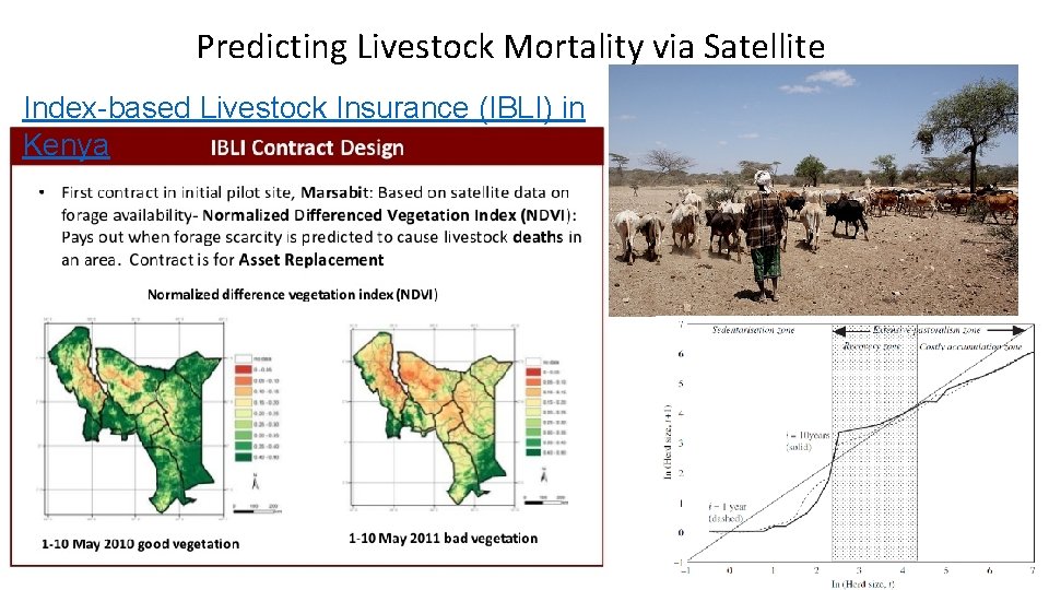 Predicting Livestock Mortality via Satellite Index-based Livestock Insurance (IBLI) in Kenya 
