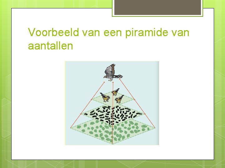 Voorbeeld van een piramide van aantallen 