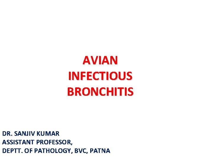 AVIAN INFECTIOUS BRONCHITIS DR. SANJIV KUMAR ASSISTANT PROFESSOR, DEPTT. OF PATHOLOGY, BVC, PATNA 