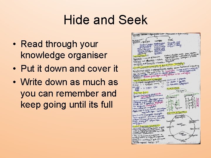 Hide and Seek • Read through your knowledge organiser • Put it down and Hide and Seek • Read through your knowledge organiser • Put it down and