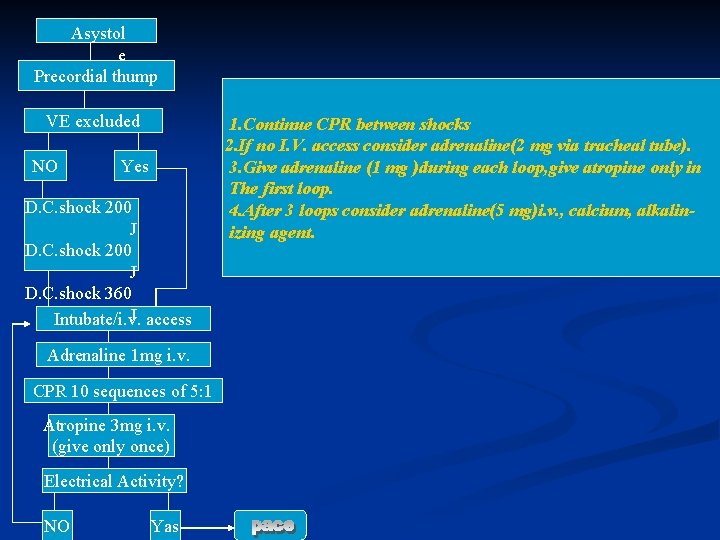 Asystol e Precordial thump VE excluded NO Yes D. C. shock 200 J D.