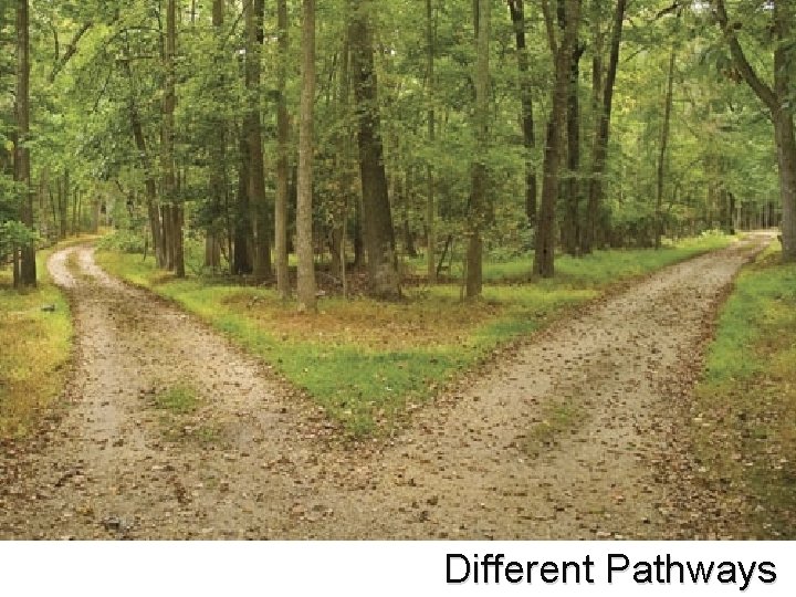 Different Pathways Different Pathways