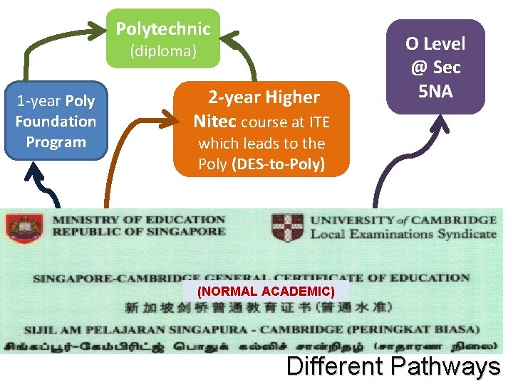 Polytechnic (diploma) 1 -year Poly Foundation Program 2 -year Higher Nitec course at ITE Polytechnic (diploma) 1 -year Poly Foundation Program 2 -year Higher Nitec course at ITE