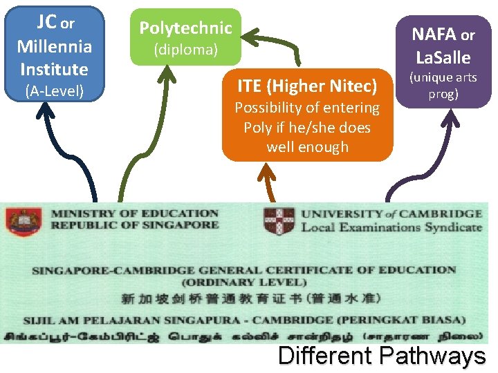 JC or Millennia Institute (A-Level) Polytechnic NAFA or La. Salle (diploma) ITE (Higher Nitec) JC or Millennia Institute (A-Level) Polytechnic NAFA or La. Salle (diploma) ITE (Higher Nitec)