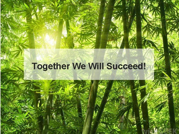 Together We Will Succeed! Together We Will Succeed!