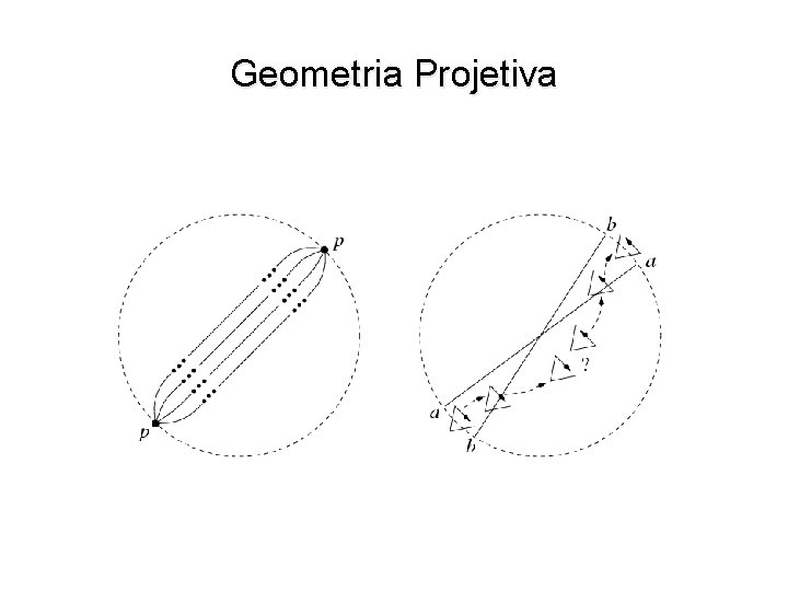 Geometria Projetiva 