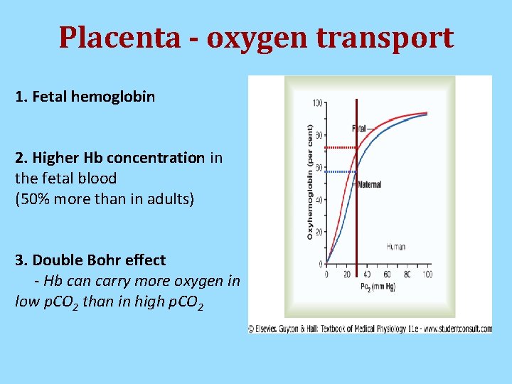 Placenta - oxygen transport 1. Fetal hemoglobin 2. Higher Hb concentration in the fetal Placenta - oxygen transport 1. Fetal hemoglobin 2. Higher Hb concentration in the fetal