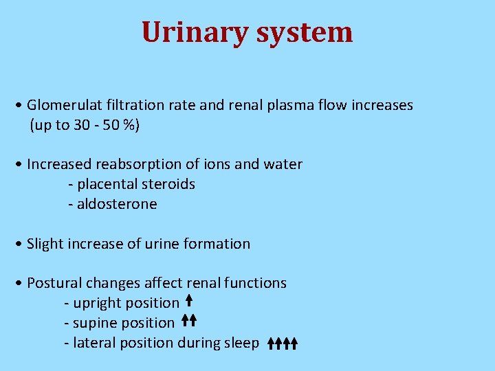 Urinary system • Glomerulat filtration rate and renal plasma flow increases (up to 30 Urinary system • Glomerulat filtration rate and renal plasma flow increases (up to 30