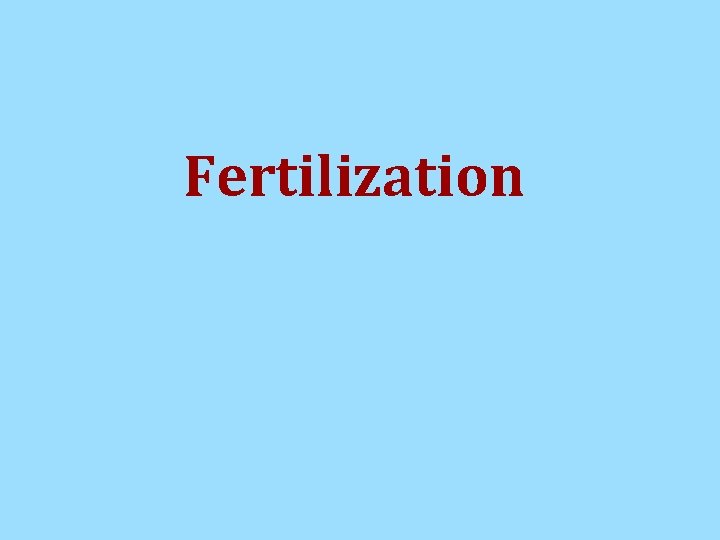 Fertilization Fertilization