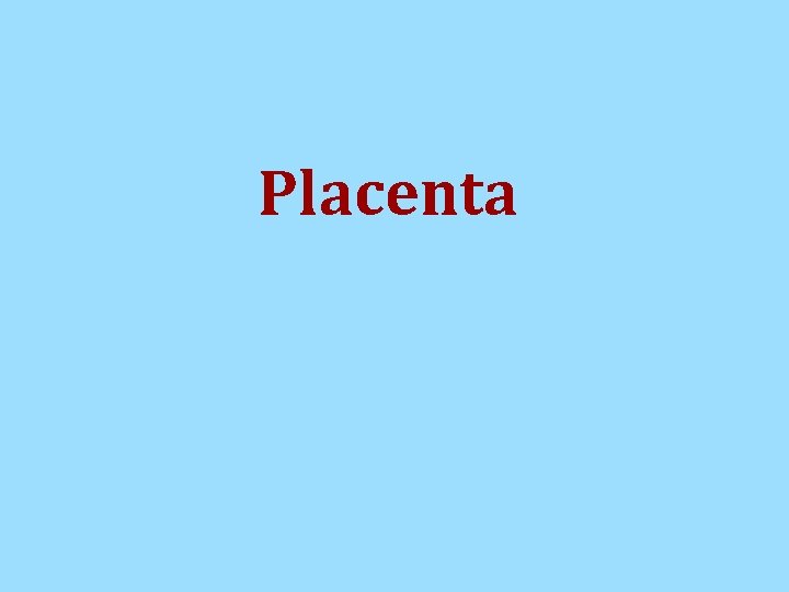 Placenta Placenta