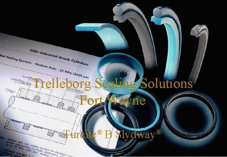 SEALING SOLUTIONS Trelleborg Sealing Solutions Fort Wayne Turcite® B Slydway® 