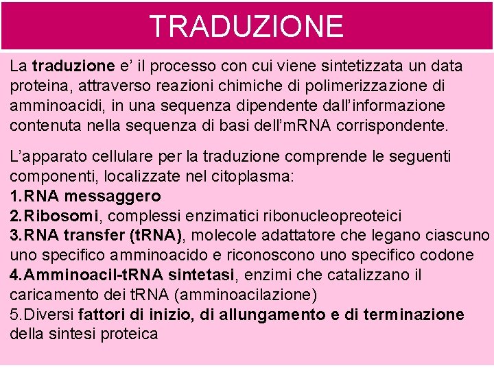 TRADUZIONE La traduzione e’ il processo con cui viene sintetizzata un data proteina, attraverso