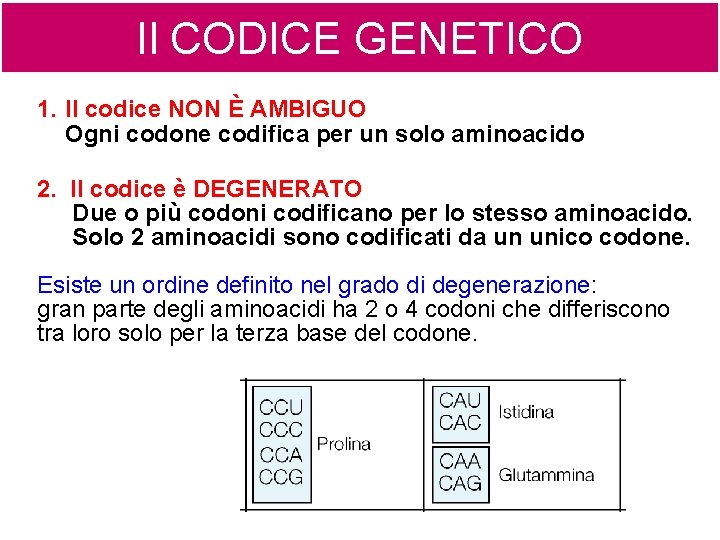 Il CODICE GENETICO 1. Il codice NON È AMBIGUO Ogni codone codifica per un Il CODICE GENETICO 1. Il codice NON È AMBIGUO Ogni codone codifica per un