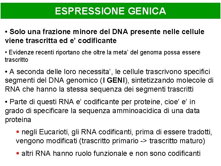 ESPRESSIONE GENICA • Solo una frazione minore del DNA presente nelle cellule viene trascritta