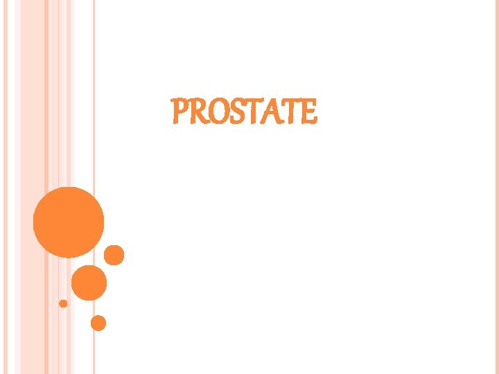 PROSTATE 