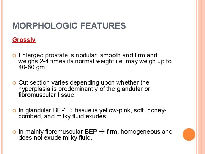 MORPHOLOGIC FEATURES Grossly Enlarged prostate is nodular, smooth and firm and weighs 2 -4