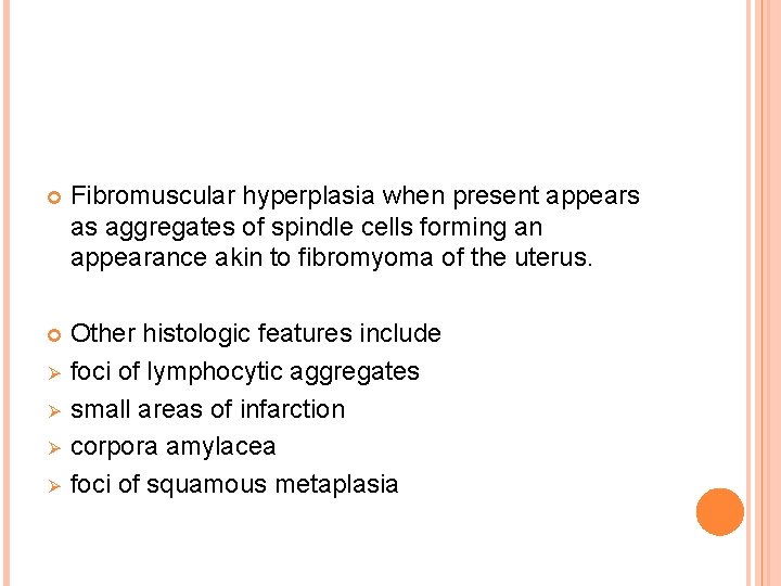  Fibromuscular hyperplasia when present appears as aggregates of spindle cells forming an appearance