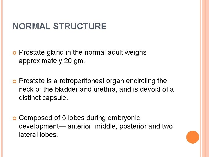 NORMAL STRUCTURE Prostate gland in the normal adult weighs approximately 20 gm. Prostate is