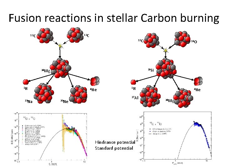 Fusion reactions in stellar Carbon burning 12 C 12 C 28 Si 24 Mg