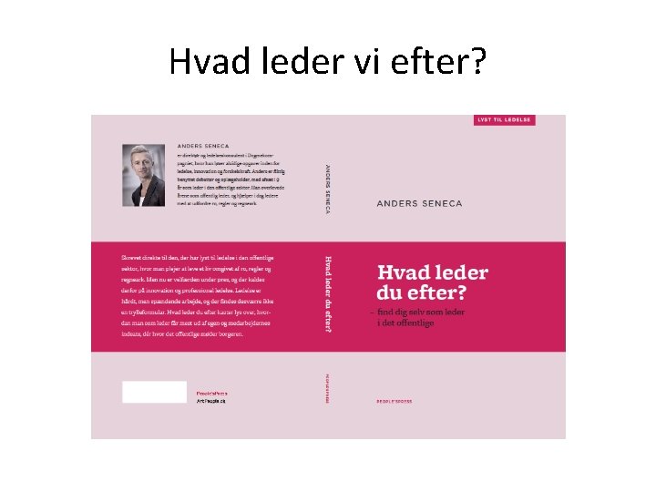 Hvad leder vi efter? 