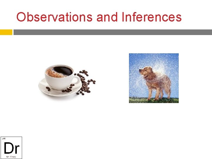 Observations and Inferences 