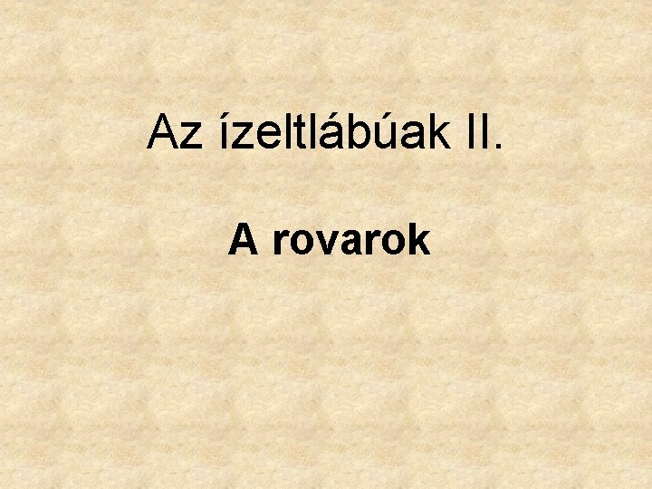 Az ízeltlábúak II. A rovarok 