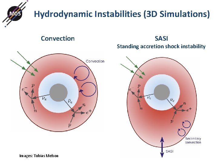 M 05 Hydrodynamic Instabilities (3 D Simulations) Convection Images: Tobias Melson SASI Standing accretion M 05 Hydrodynamic Instabilities (3 D Simulations) Convection Images: Tobias Melson SASI Standing accretion