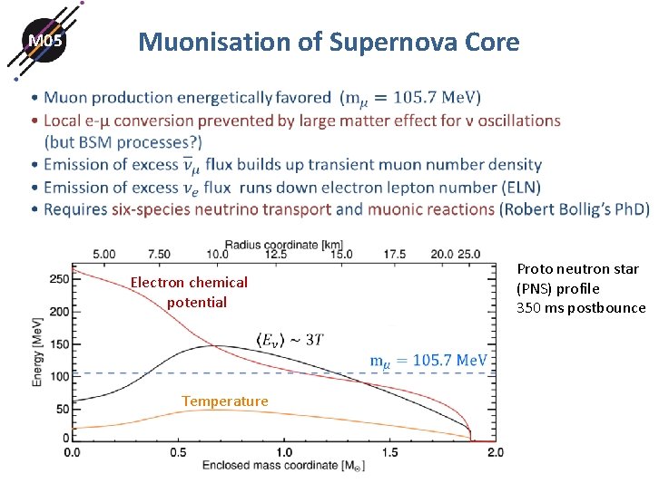M 05 Muonisation of Supernova Core Proto neutron star (PNS) profile 350 ms postbounce M 05 Muonisation of Supernova Core Proto neutron star (PNS) profile 350 ms postbounce