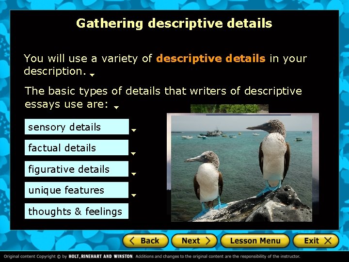 Gathering descriptive details You will use a variety of descriptive details in your description.