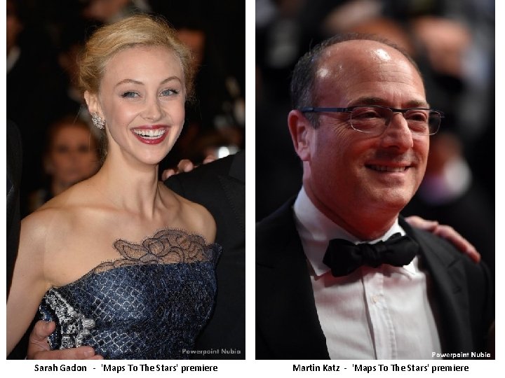 Sarah Gadon - 'Maps To The Stars' premiere Martin Katz - 'Maps To The