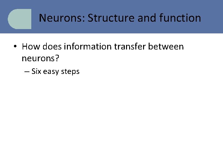 Neurons: Structure and function • How does information transfer between neurons? – Six easy