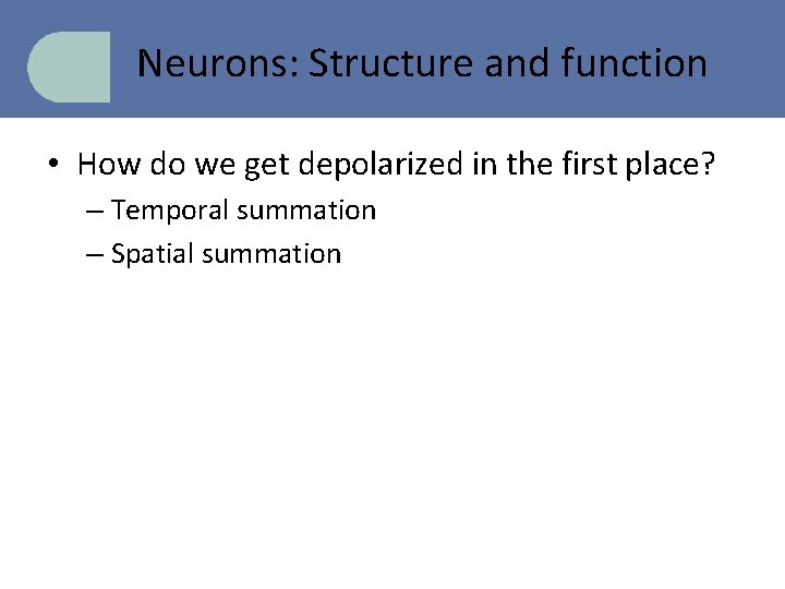 Neurons: Structure and function • How do we get depolarized in the first place?