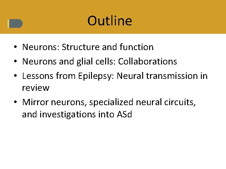 Outline • Neurons: Structure and function • Neurons and glial cells: Collaborations • Lessons