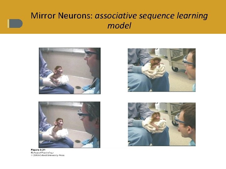 Mirror Neurons: associative sequence learning model 