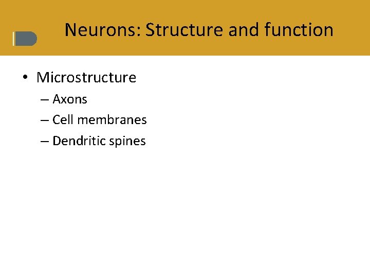 Neurons: Structure and function • Microstructure – Axons – Cell membranes – Dendritic spines