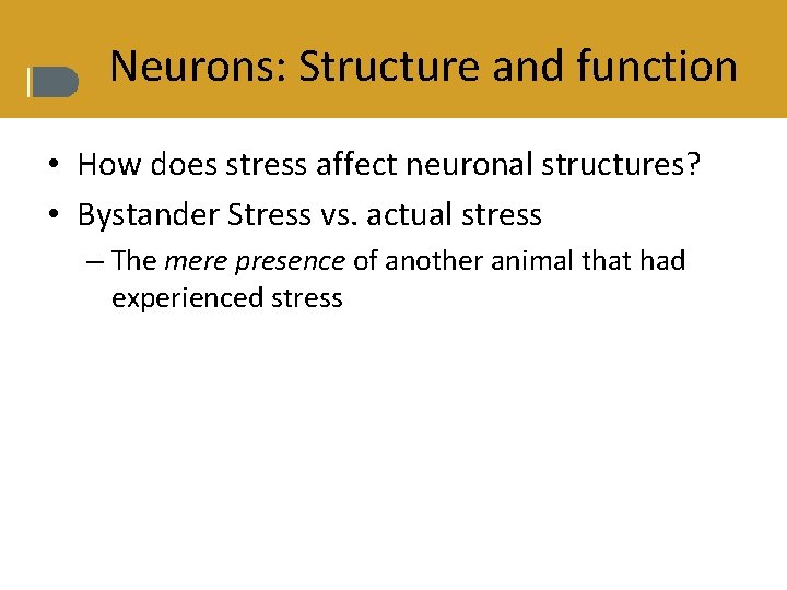 Neurons: Structure and function • How does stress affect neuronal structures? • Bystander Stress