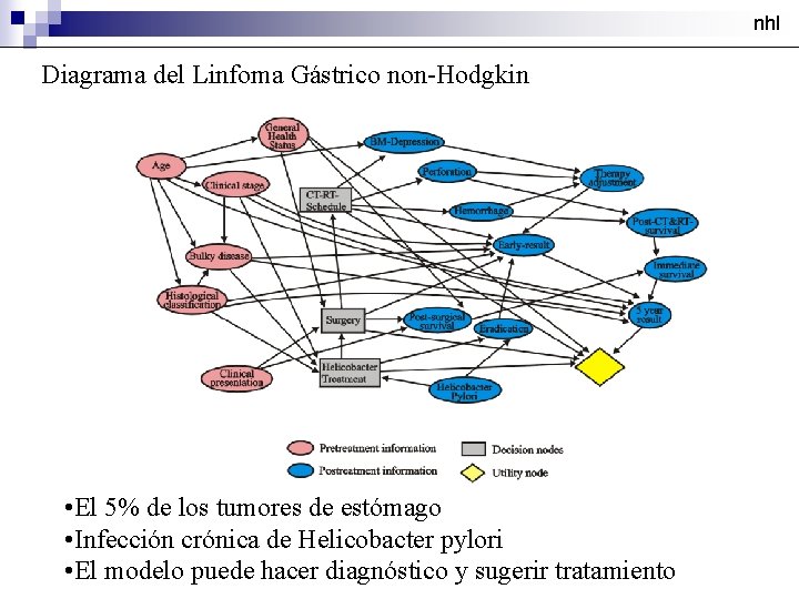 nhl Diagrama del Linfoma Gástrico non-Hodgkin • El 5% de los tumores de estómago