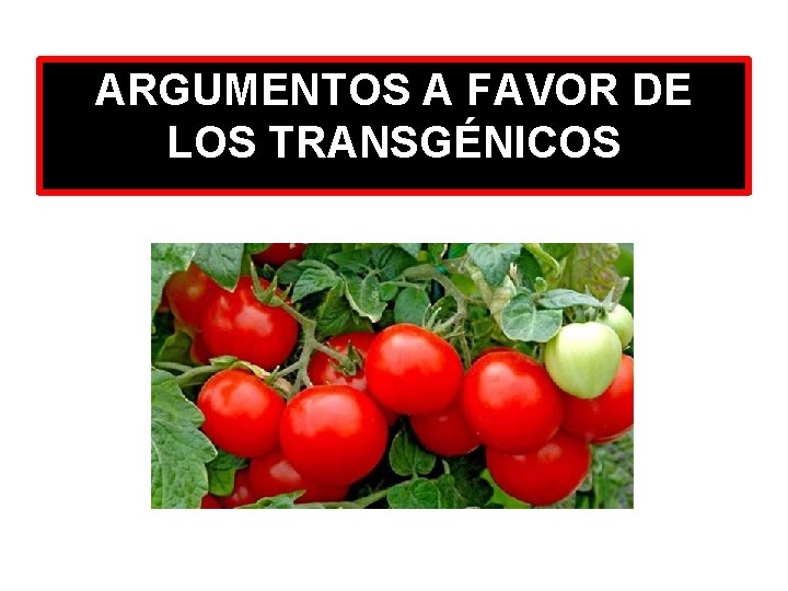 ARGUMENTOS A FAVOR DE LOS TRANSGÉNICOS 