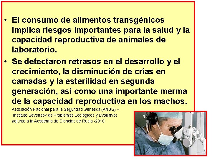  • El consumo de alimentos transgénicos implica riesgos importantes para la salud y