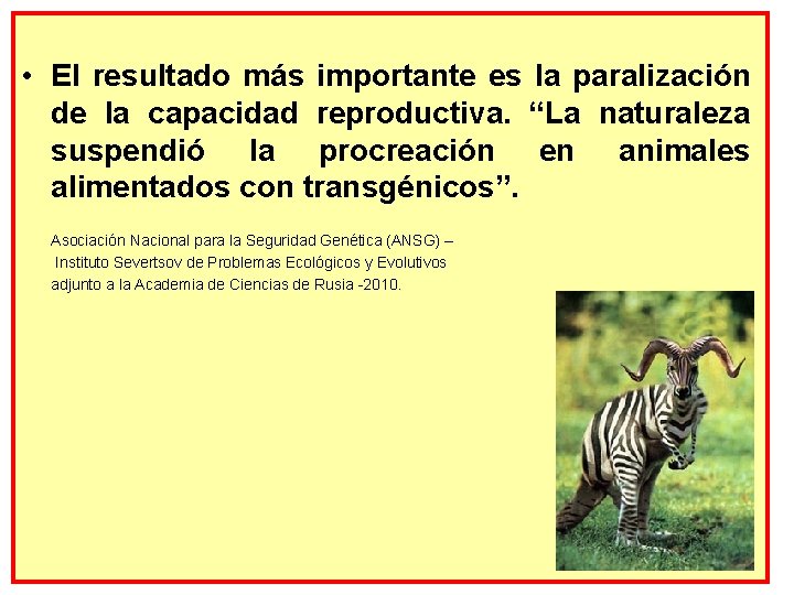  • El resultado más importante es la paralización de la capacidad reproductiva. “La