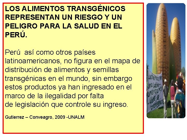 LOS ALIMENTOS TRANSGÉNICOS REPRESENTAN UN RIESGO Y UN PELIGRO PARA LA SALUD EN EL