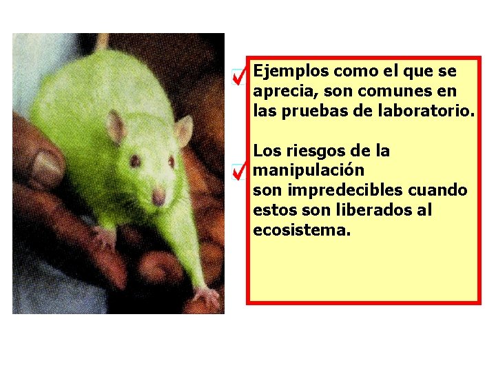 Ejemplos como el que se aprecia, son comunes en las pruebas de laboratorio. Los
