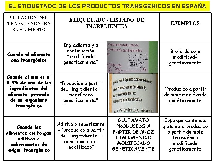 EL ETIQUETADO DE LOS PRODUCTOS TRANSGENICOS EN ESPAÑA SITUACIÓN DEL TRANSGENICO EN EL ALIMENTO