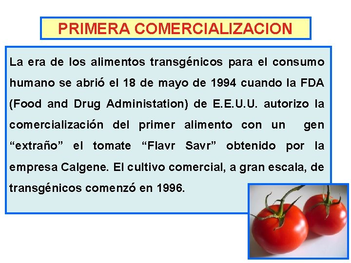 PRIMERA COMERCIALIZACION La era de los alimentos transgénicos para el consumo humano se abrió