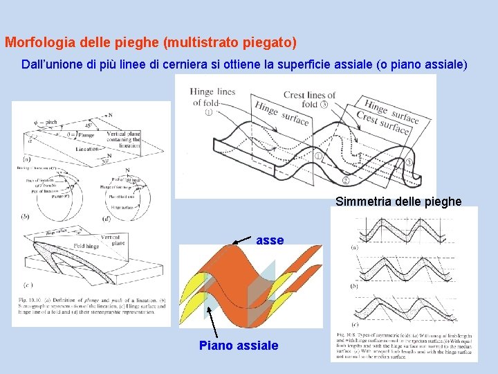 Morfologia delle pieghe (multistrato piegato) Dall’unione di più linee di cerniera si ottiene la